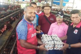 Kebutuhan telur ayam selama Ramadhan dipasok peternak lokal