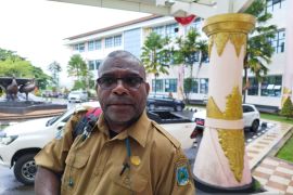 Disnak Papua Barat akui sulit awasi pemotongan sapi di Manokwari
