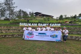 Kapasitas produksi meningkat, Sirukam Dairy Farm manfaatkan program PLN Cinta untuk kebutuhan daya 345KVA