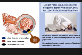 Posisi sujud bantu alirkan darah berisi nutrisi pada otak