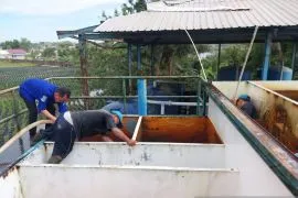 Tingkatkan Kualitas Air Ke Pelanggan, Perumda Tirta Pinang Optimalkan Pelayanan