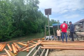 Polres Tarakan berhasil menyita 18 kubik kayu diduga dari pembalakan liar