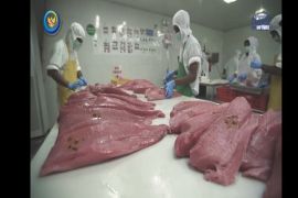 KKP: Pulau Buru dipilih sebagai lokasi sertifikasi MSC untuk ikan tuna