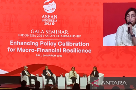 KSSK perhatikan masalah bank di AS dan Eropa