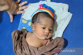 Bayi di kardus, Polresta Banjarmasin buru ibu sang anak