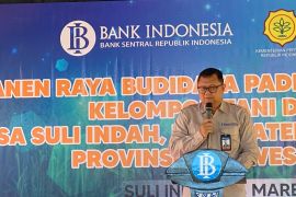 BI sebut PDRB Sulteng meningkat 17,74 persen ditopang sektor industri