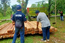 Dua tersangka pembalak kayu ilegal di Sulsel segera disidang
