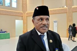 Papua Barat usul peremajaan sawit lima ribu hektare di Manokwari