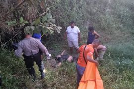 Polisi sebut dua pencuri lembu tewas dimassa di Deliserdang merupakan warga Binjai