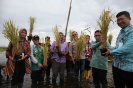Pemkab HSS unggulkan inovasi "Padi Apung" dalam penilaian PPD