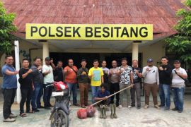 Polsek Besitang tangkap pelaku pembunuh teman sendiri