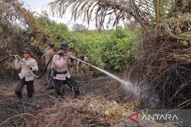 Enam hektare lahan di Pulau Merbau terbakar