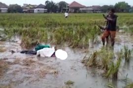 BPBD Cirebon: 2 orang tewas dan dua luka akibat tersambar petir