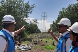 PLN targetkan 11 ribu pemasangan listrik baru di daerah 3T Kalbar