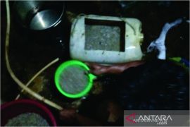 Ikan rinuak langka di Danau Maninjau Agam dampak air tercemar