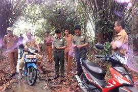 Beruang terkam warga Tabalong, Tim Satgas BKSDA tindak lanjuti