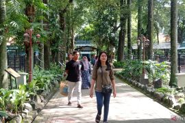 PDTS KBS detailkan sistem reservasi operasional "Surabaya Night Zoo"