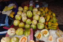 Buah "bilungka langkang" paling banyak dicari selama puasa