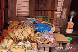 Harga ikan asin jenis tenggiri melonjak selama Ramadhan