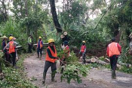 Ada longsor, BPBD arahkan masyarakat gunakan jalur alternatif ke Pura Besakih