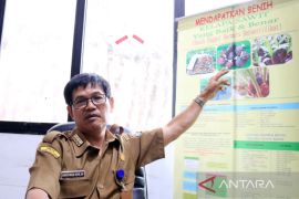 Pemprov Kalsel bantu remajakan 2.850 hektare perkebunan sawit rakyat
