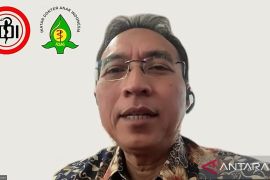 IDAI: Perhatikan keamanan ketika mudik, cegah kematian anak meningkat
