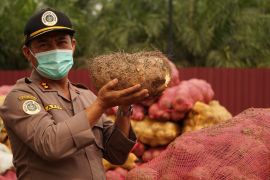 Riau ekspor 50 ton perdana ke China