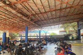 Jumlah penumpang di Pelabuhan Trisakti naik 10 persen