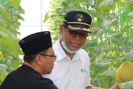Parni Hadi kunjungi Madina Green House Dompet Dhuafa