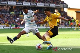 Bek Chelsea Wesley Fofana bakal menepi beberapa bulan karena cedera ACL