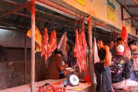 Harga daging sapi di pasar tadisional Lampung Selatan normal