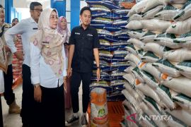 Berau usul raperda perlindungan lahan pertanian