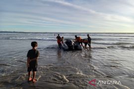 Tiga anak hanyut saat mandi di Pantai Pasir Putih Bengkulu