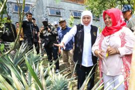 Buah organik Jember tembus pasar Eropa