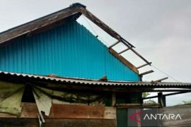 Kaltim kemarin, 50 rumah dampak puting beliung  hingga kesejahteraan pekebun rakyat