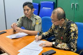 Disbun  Kaltim remajakan 1.000 hektare kebun sawit