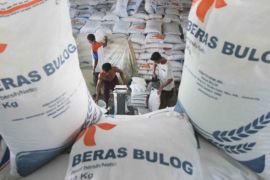 Pengamat apresiasi bantuan  beras 10 kg per bulan dari pemerintah