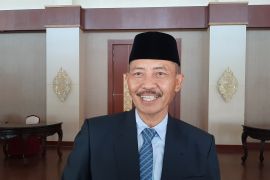 525 ekor sapi asal NTT tiba di Kepri