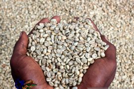 Dari fotografi, Gusti Tanati kini miliki usaha kopi dan galeri foto