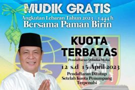 Mudik gratis, Pemprov Kalsel sediakan 50 bus mini