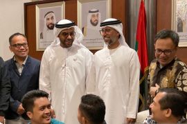Minat investasi di IKN, UAE Ingin lihat dulu cetak biru proyek
