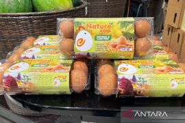 Ini cara memilih hingga simpan telur di rumah agar tetap berkualitas