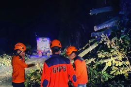 Jalan Sumbar-Riau dapat dilalui usai longsor