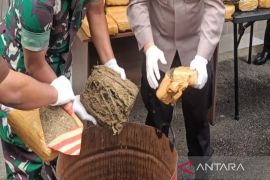 Dua dus ganja kering tujuan Jakarta terjaring Avsec Bandara Silangit