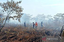 BPBD masih kesulitan padamkan kebakaran lahan di Aceh Barat, ini sebabnya