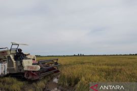 Bendung Gerak Sungai Talake bantu penuhi pangan IKN