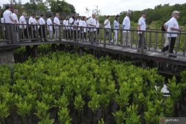 WRI Indonesia ajak masyarakat untuk memitigasi krisis iklim