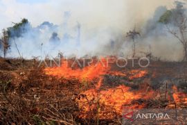BMKG minta warga Aceh waspadai karhutla saat kemarau