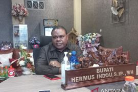 Pemerintah Manokwari bentuk satgas tertibkan bangunan tanpa izin