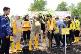 Kalsel kemarin, sinergi Dishut Kalsel sampai ibadah 10 malam akhir Ramadhan